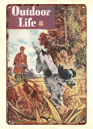 Outdoor Hunting Dogs - Decoração de casa, revista OUTDOOR LIFE