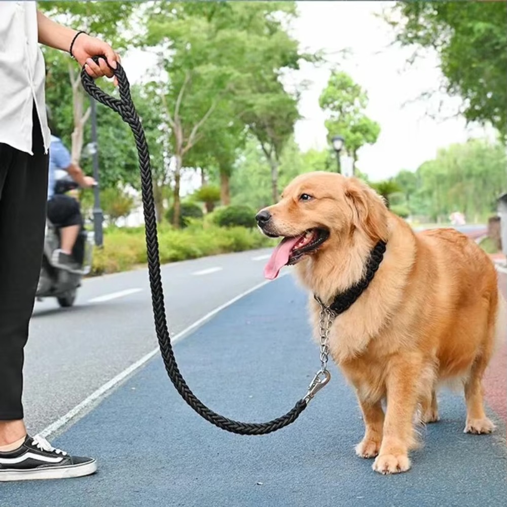 Coleira para Cães Grandes e Ro - Outdoor Hunting Dogs avaliação e preço