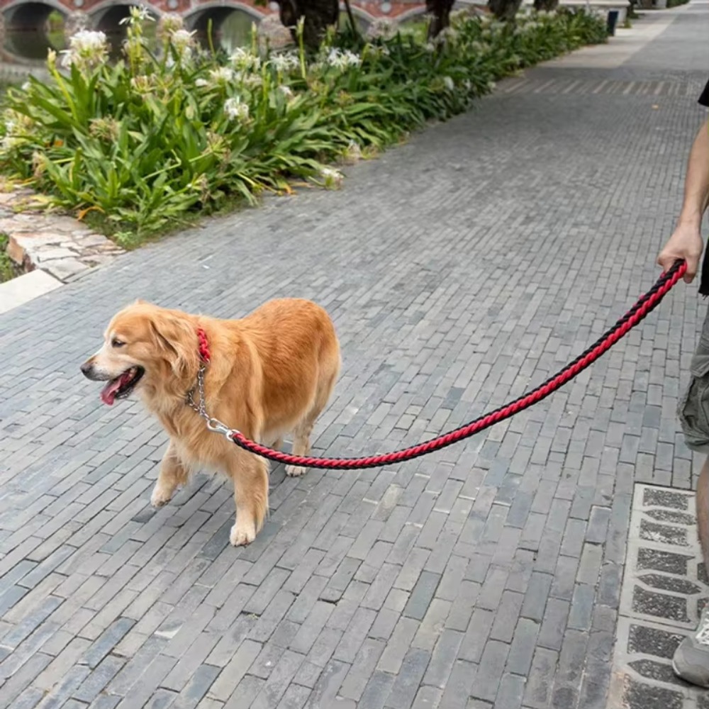 Coleira para Cães Grandes e Ro - Outdoor Hunting Dogs avaliação e preço